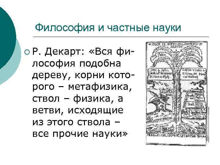 Частные науки. Древо философии по Декарту. Дерево философия и наук. Дерево наук Декарта. Что такое дерево Декарта в философии.