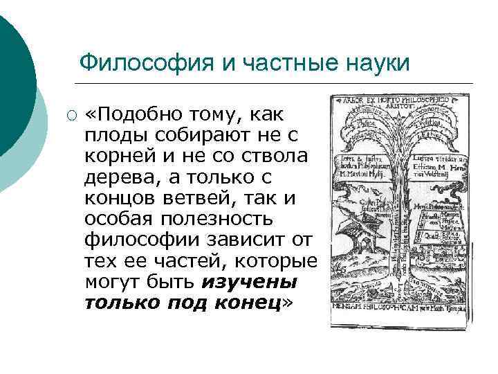 Философия и частные науки ¡ «Подобно тому, как плоды собирают не с корней и