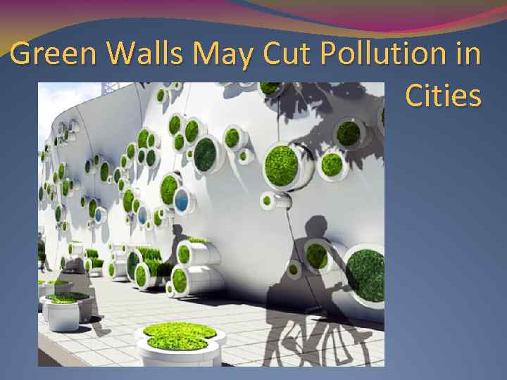 Green Walls May Cut Pollution in Cities 