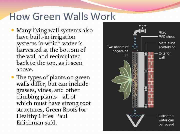 How Green Walls Work Many living wall systems also have built-in irrigation systems in