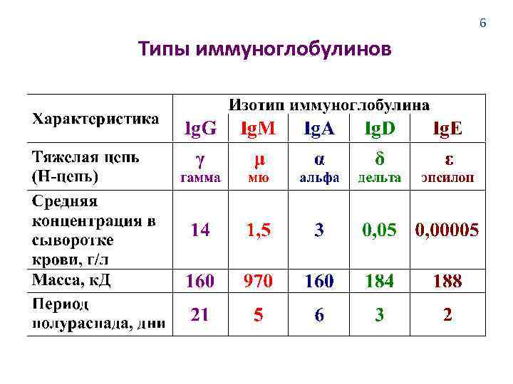 6 Типы иммуноглобулинов 