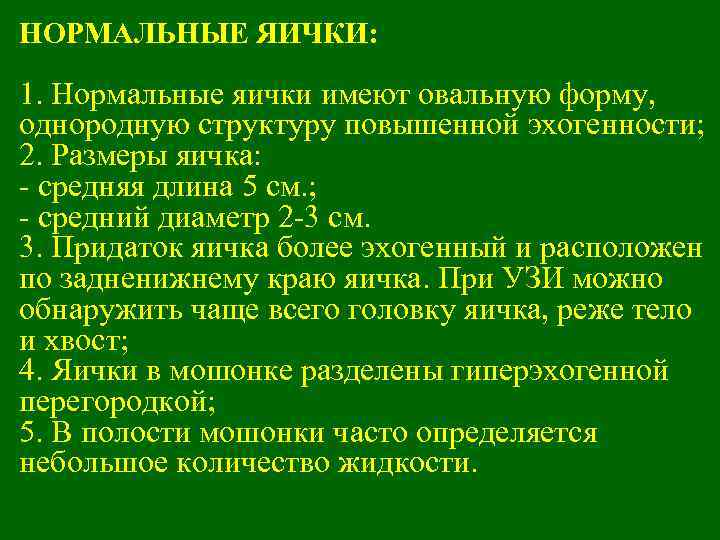 Объем яичек в норме. Объем яичка в норме. Размер яичек у мужчин норма. Нормальные Размеры яичек по УЗИ.