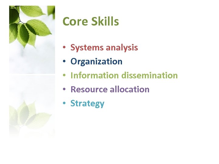 Core Skills • • • Systems analysis Organization Information dissemination Resource allocation Strategy 