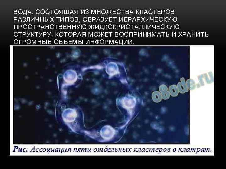 ВОДА, СОСТОЯЩАЯ ИЗ МНОЖЕСТВА КЛАСТЕРОВ РАЗЛИЧНЫХ ТИПОВ, ОБРАЗУЕТ ИЕРАРХИЧЕСКУЮ ПРОСТРАНСТВЕННУЮ ЖИДКОКРИСТАЛЛИЧЕСКУЮ СТРУКТУРУ, КОТОРАЯ МОЖЕТ