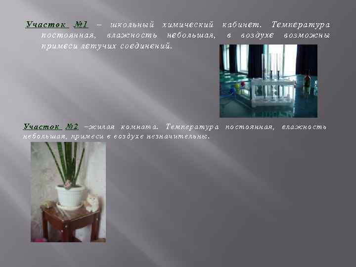 Участок № 1 – школьный химический кабинет. Температура постоянная, влажность небольшая, в воздухе возможны