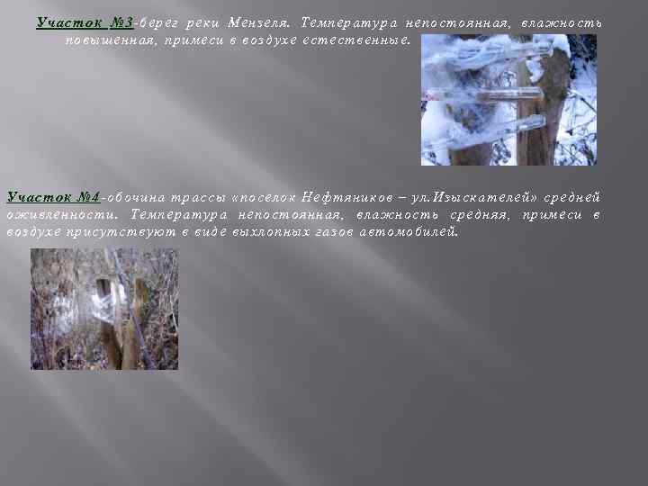 Участок № 3 -берег реки Мензеля. Температура непостоянная, влажность повышенная, примеси в воздухе естественные.