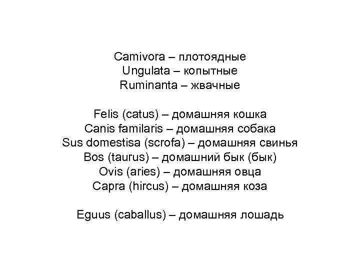 Camivora – плотоядные Ungulata – копытные Ruminanta – жвачные Felis (catus) – домашняя кошка