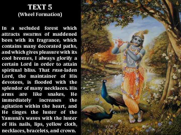 TEXT 5 (Wheel Formation) In a secluded forest which attracts swarms of maddened bees