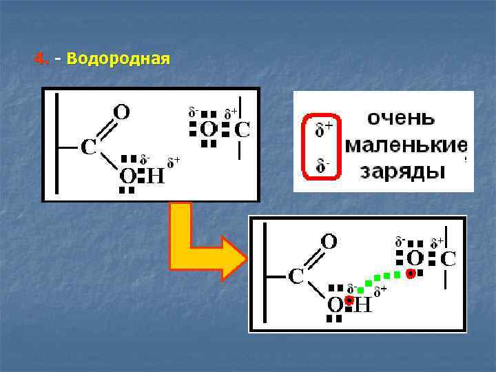 Белково водородные связи. Аминокислоты белки кроссворд.