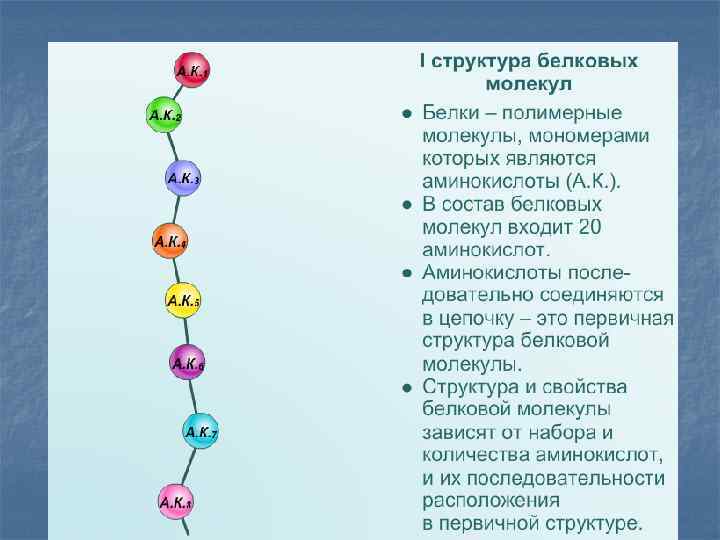 Изменение аминокислот последовательности белков. Первичная структура белка. Первичная структура белка образована связями. Последовательность аминокислот в белках. Первичная структура белковой молекулы.
