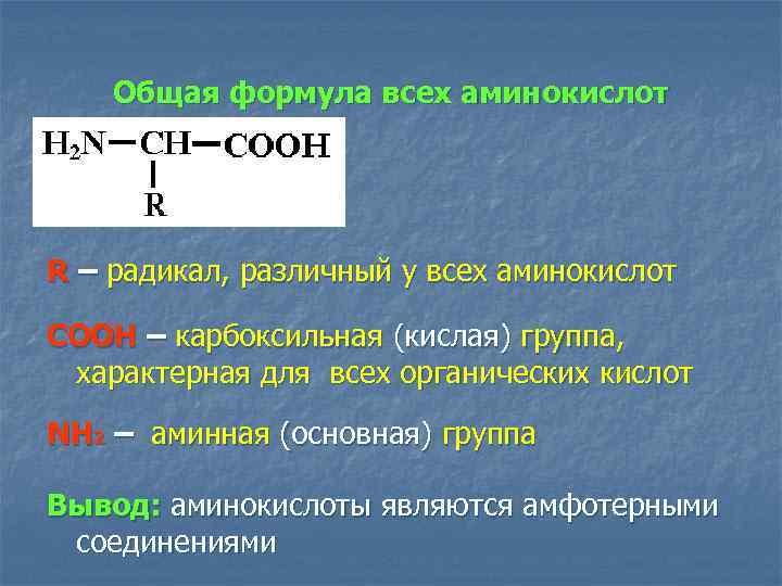 Аминокислоты в составе белка имеют. Функциональная формула аминокислот. Общая формула аминокислот. Основная формула аминокислот. Общая форма аминокислот.