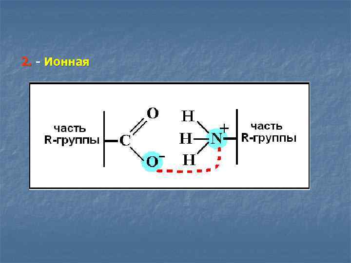 Химическая связь аминокислот
