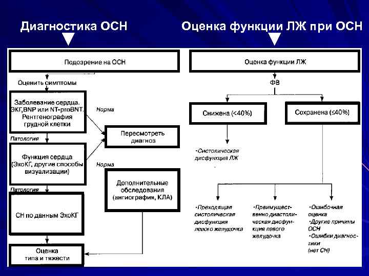 Диагностика ОСН Оценка функции ЛЖ при ОСН . 2/10/2018 55 