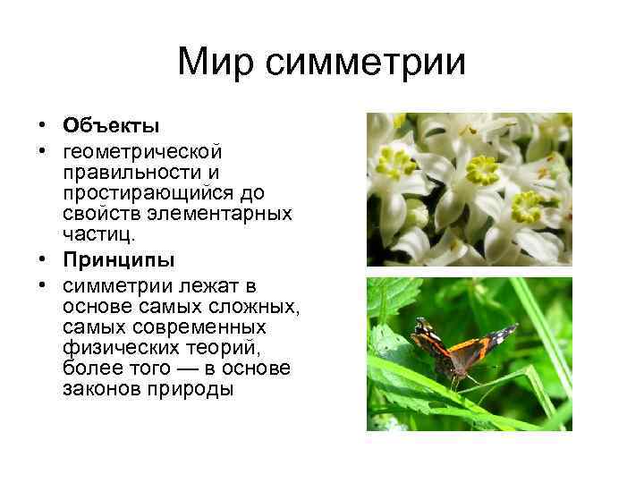 Мир симметрии • Объекты • геометрической правильности и простирающийся до свойств элементарных частиц. •
