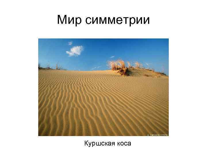 Мир симметрии Куршская коса 