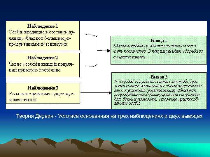 Теория Дарвин - Уоллиса основанная на трех наблюдениях и двух выводах 