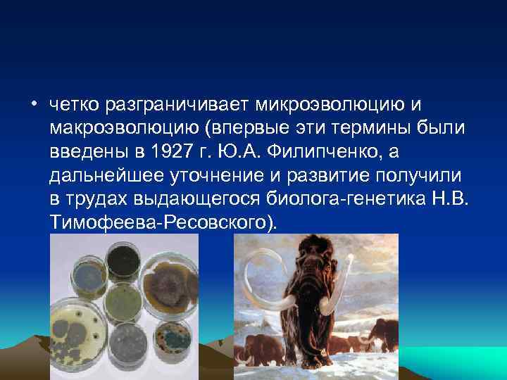  • четко разграничивает микроэволюцию и макроэволюцию (впервые эти термины были введены в 1927