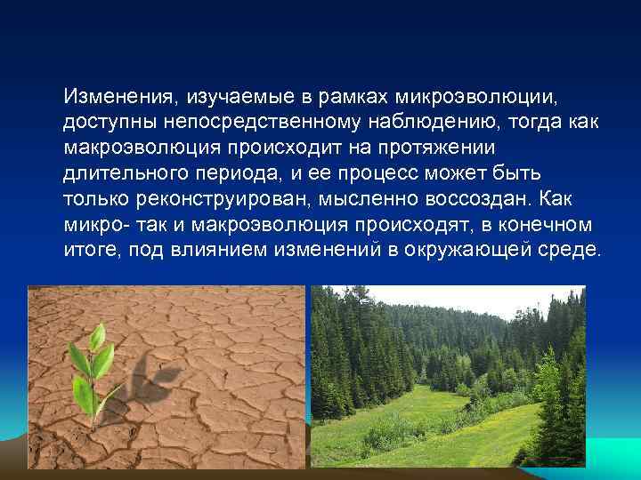 Изменения, изучаемые в рамках микроэволюции, доступны непосредственному наблюдению, тогда как макроэволюция происходит на протяжении