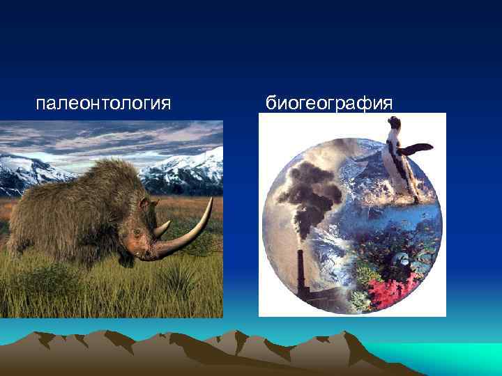 палеонтология биогеография 