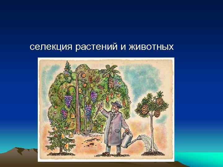 селекция растений и животных 