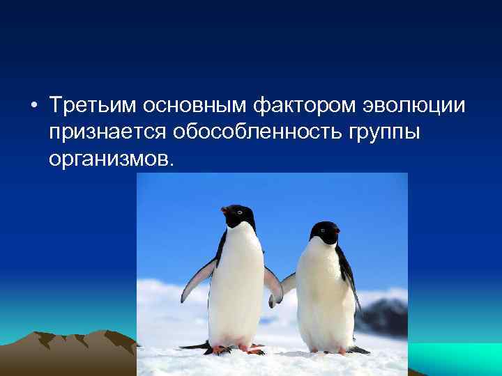  • Третьим основным фактором эволюции признается обособленность группы организмов. 
