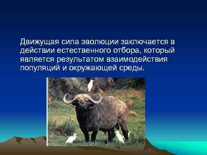 Движущая сила эволюции заключается в действии естественного отбора, который является результатом взаимодействия популяций и