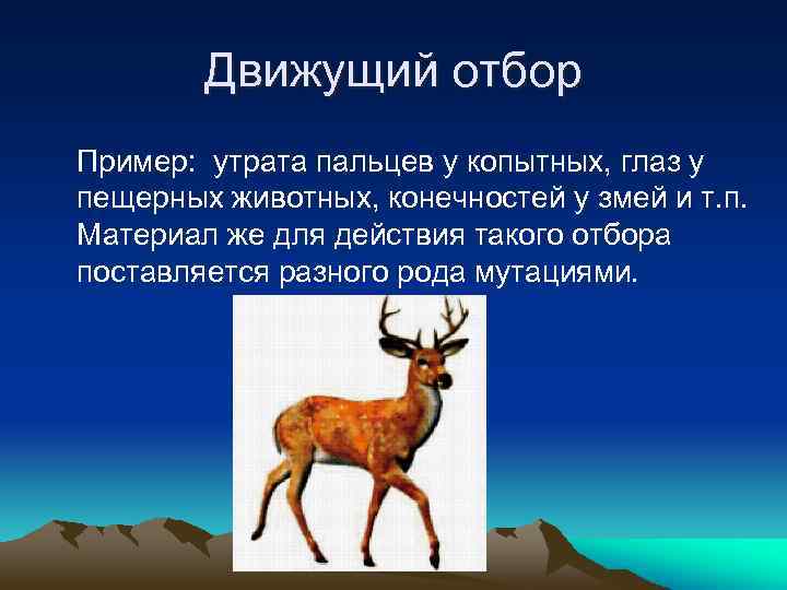 Движущий отбор Пример: утрата пальцев у копытных, глаз у пещерных животных, конечностей у змей