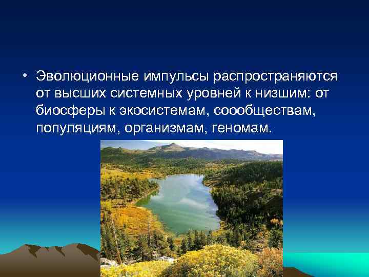  • Эволюционные импульсы распространяются от высших системных уровней к низшим: от биосферы к