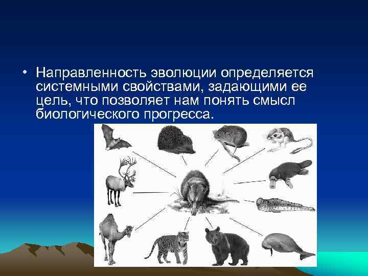  • Направленность эволюции определяется системными свойствами, задающими ее цель, что позволяет нам понять