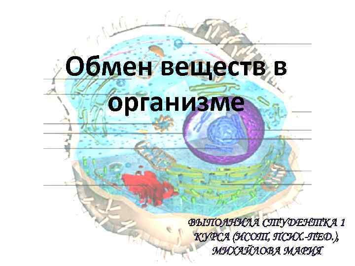 Обмен веществ в организме 