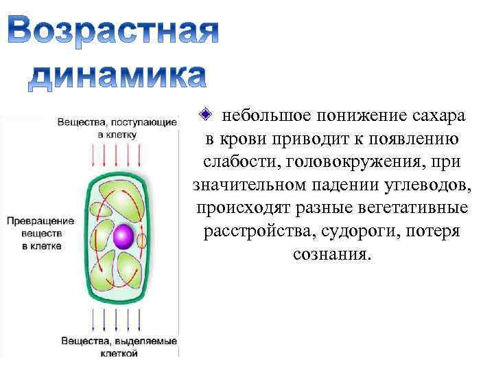  небольшое понижение сахара в крови приводит к появлению слабости, головокружения, при значительном падении