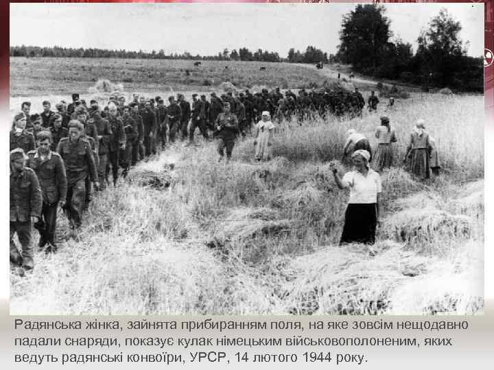 Радянська жінка, зайнята прибиранням поля, на яке зовсім нещодавно падали снаряди, показує кулак німецьким