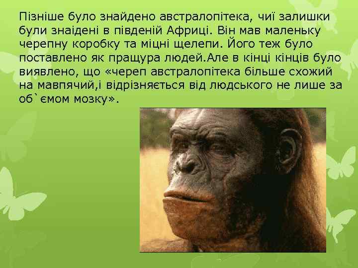 Пізніше було знайдено австралопітека, чиї залишки були знаідені в південій Африці. Він мав маленьку