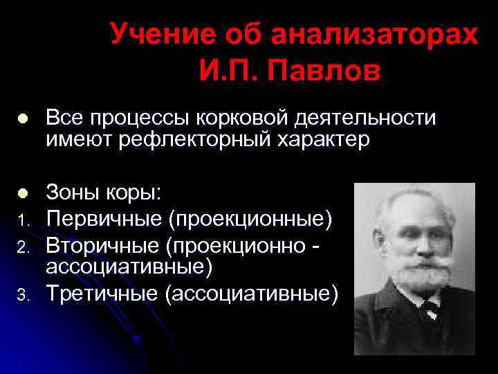 Учение об анализаторах разработано. Учение и.п. Павлова об анализаторах. Павлов учение об анализаторах. Анализаторы ученики. Понятие анализатора по Павлову.