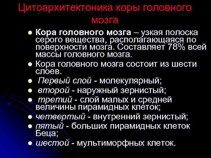 Цитоархитектоника коры головного мозга Кора головного мозга – узкая полоска серого вещества, располагающаяся по