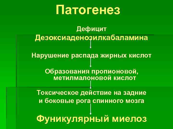 Патогенез Дефицит Дезоксиаденозилкабаламина Нарушение распада жирных кислот Образования пропионовой, метилмалоновой кислот Токсическое действие на