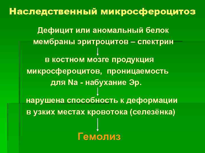 Наследственный микросфероцитоз Дефицит или аномальный белок мембраны эритроцитов – спектрин в костном мозге продукция