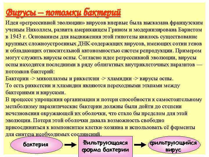 Вирусы – потомки бактерий Идея «регрессивной эволюции» вирусов впервые была высказана французским ученым Николлем,