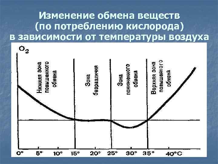 Изменение обмена веществ (по потреблению кислорода) в зависимости от температуры воздуха 