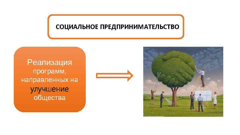 СОЦИАЛЬНОЕ ПРЕДПРИНИМАТЕЛЬСТВО Реализация программ, направленных на улучшение общества 