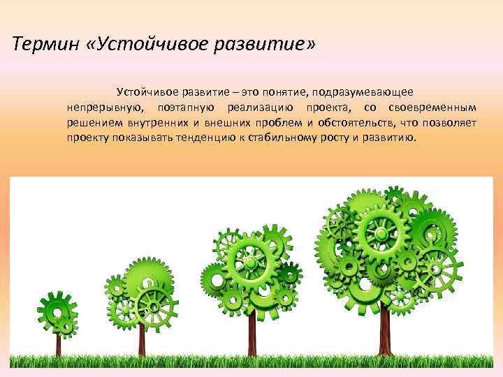 Термин «Устойчивое развитие» Устойчивое развитие – это понятие, подразумевающее непрерывную, поэтапную реализацию проекта, со