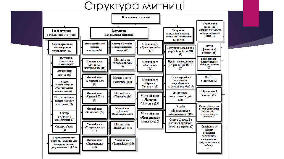 Структура митниці 