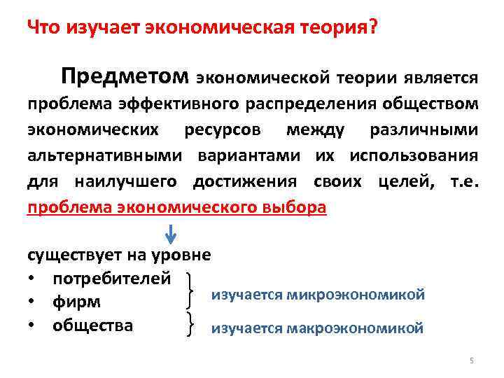 Что изучает экономическая теория? Предметом экономической теории является проблема эффективного распределения обществом экономических ресурсов