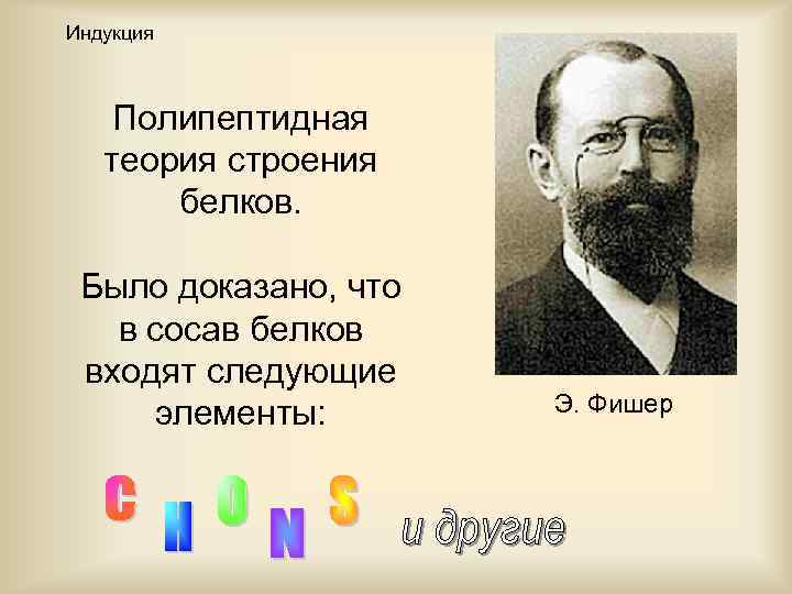 Индукция Полипептидная теория строения белков. Было доказано, что в сосав белков входят следующие элементы: