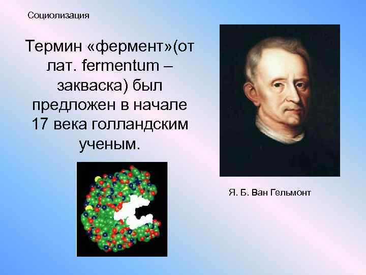 Социолизация Термин «фермент» (от лат. fermentum – закваска) был предложен в начале 17 века