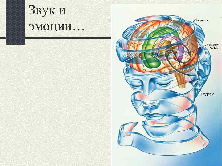 Звук и эмоции… 