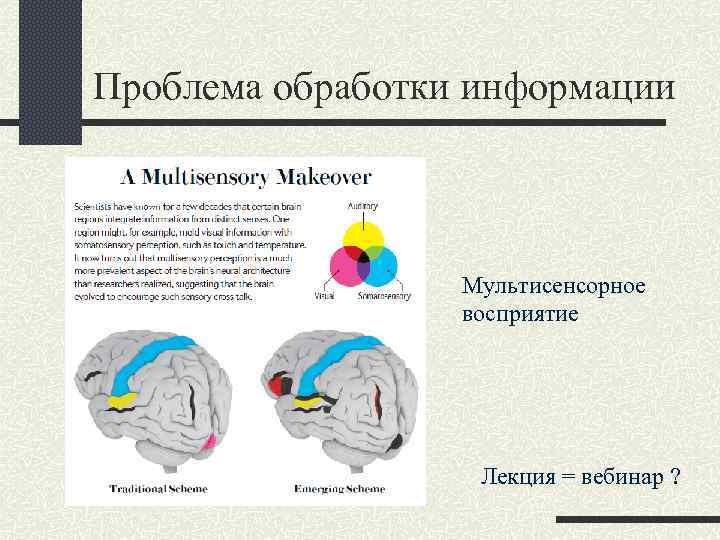 Проблема обработки информации Мультисенсорное восприятие Лекция = вебинар ? 