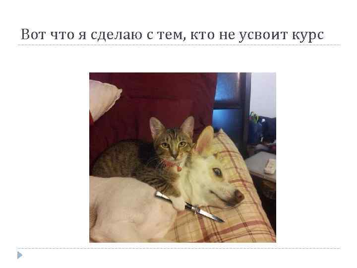 Вот что я сделаю с тем, кто не усвоит курс 