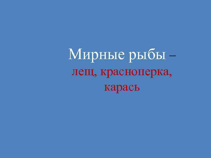 Мирные рыбы – лещ, красноперка, карась 