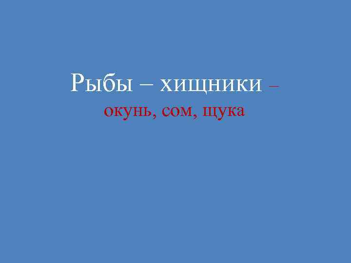 Рыбы – хищники – окунь, сом, щука 